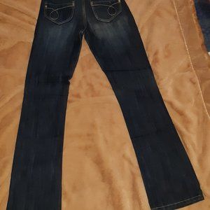 Pudding Brand Darkwash Flared Jeans